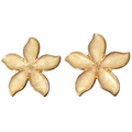 Flower 'Lilly'